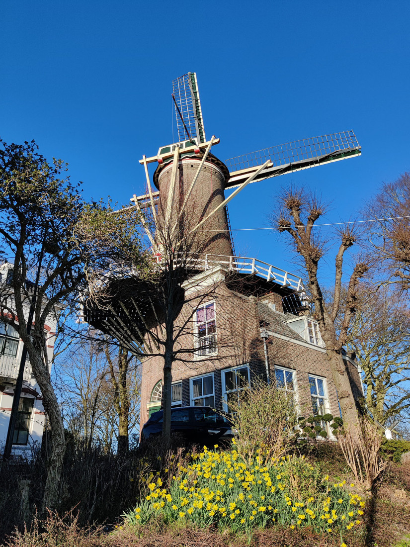 Windmill in Gouda