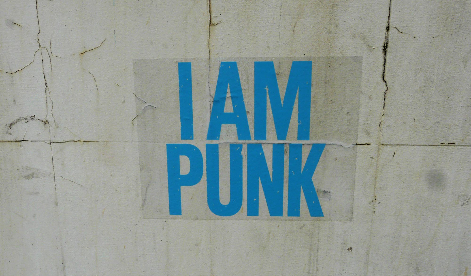 (en) Punk in a cardie